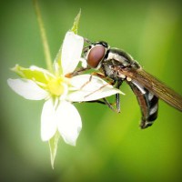 /album/butmazelri/photolia-a02-jpg/