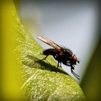 /album/butmazelri/photolia-a04-jpg/