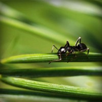 /album/butmazelri/photolia-a05-jpg/