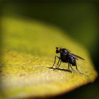 /album/butmazelri/photolia-a07-jpg/