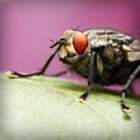 /album/butmazelri/photolia-a08-jpg/